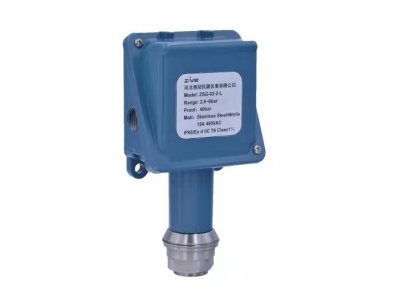 ZSG-通用型壓力開(kāi)關(guān)